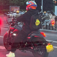 你强奸了我 还骂我骚货