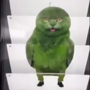 Rizzmelon