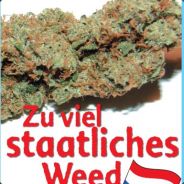 THC îm BLUT| HãñfpŁÀñTÅGÊ