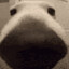 SNIFFA
