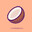 Shoconuts