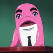 Dolphin teacher