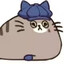 邪恶猫猫头's avatar