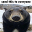 сучий характер