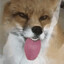 Magicfurballz
