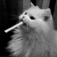 jhuuzy4 - steam id 76561199219459519