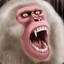 ANGRY APE