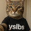 YSLBS