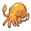 Squid.squid
