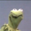 Kermit