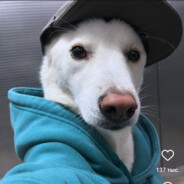 nurlibekko - steam id 76561199788811957