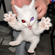 Avatar snapshot