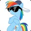 Raindow Dash