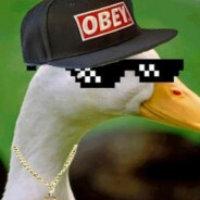 Maks cori nikita melkii yeБan