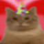TarzyD (birthday!!)