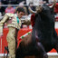 MATADOR