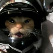 охрана лоу таба