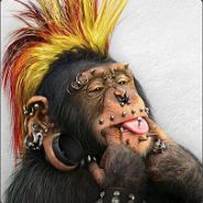 ŖΈﮎŦ iiŋ ΡΣǻςΣ