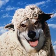 SmilingKiller笑而不语杀手