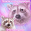 Mrs.Raccoon