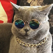 ℤ𝕝𝕒𝕪𝕒𝕂𝕚𝕤