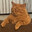 i got 4 big lumps