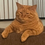 i got 4 big lumps