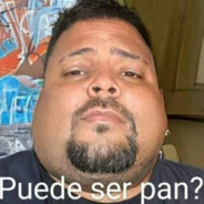 PUEDE SER PAN?