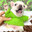 pibble273