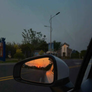 回不到大海的张有志