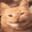 NUCLEAR_SHART avatar
