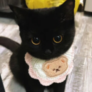 黄黄来咯