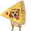 DOG IN PIZZA