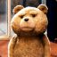 Bear TED