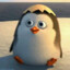 Pinguyay