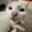 s0kerty Steam avatar