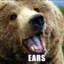 BEAR EARS