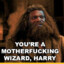 MOTHERFUCKING WIZARD HARRY