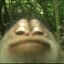m0nKey