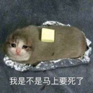 真不会玩这游戏