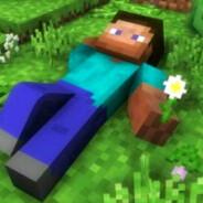 采野花的史蒂夫