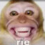 pinga con asma