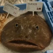 Непобедилдо