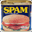 THA SPAMBURGLAR