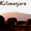 Killimanjaro