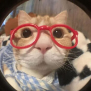 飞机场偷油婆喜欢视奸