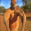 KangarooSalesman