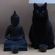 Avatar snapshot