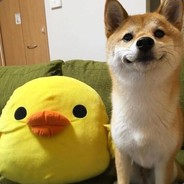 лоукик в голову