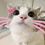 vik3ndy - steam id 76561198872973578